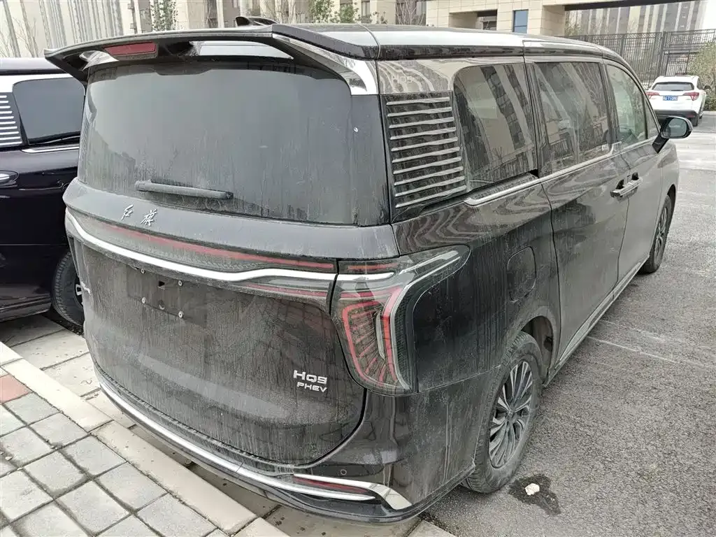 Hongqi HQ9 PHEV 2024 из CN, фото 10