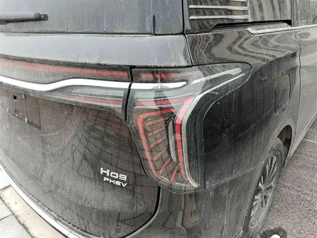 Hongqi HQ9 PHEV 2024 из CN, фото 6