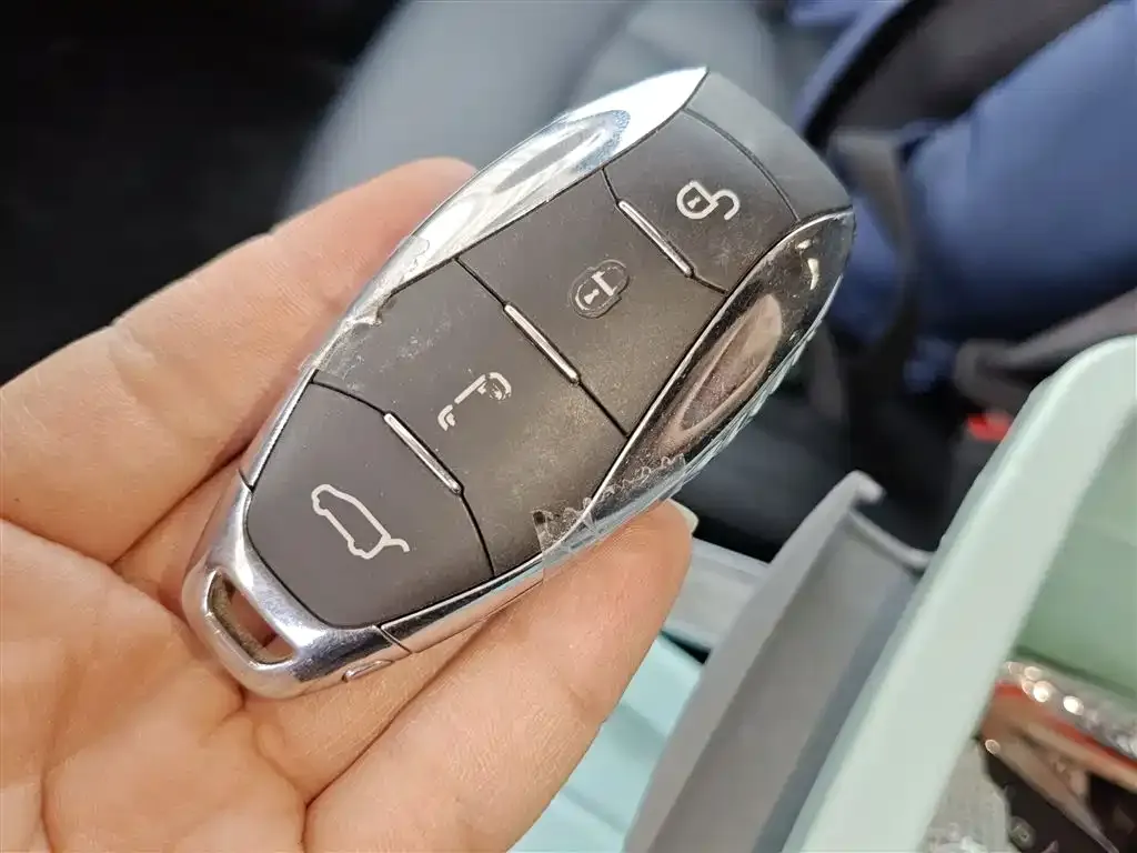 Hongqi HQ9 PHEV 2024 из CN, фото 2