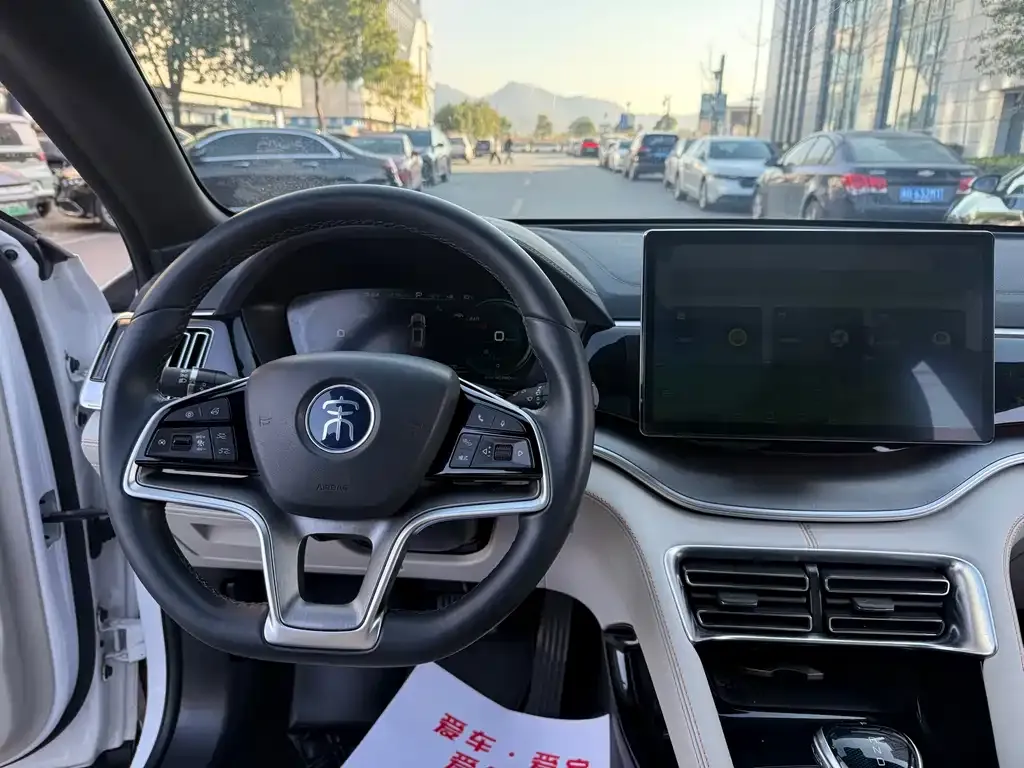 BYD PLUS New Energy 2023 из CN, фото 10
