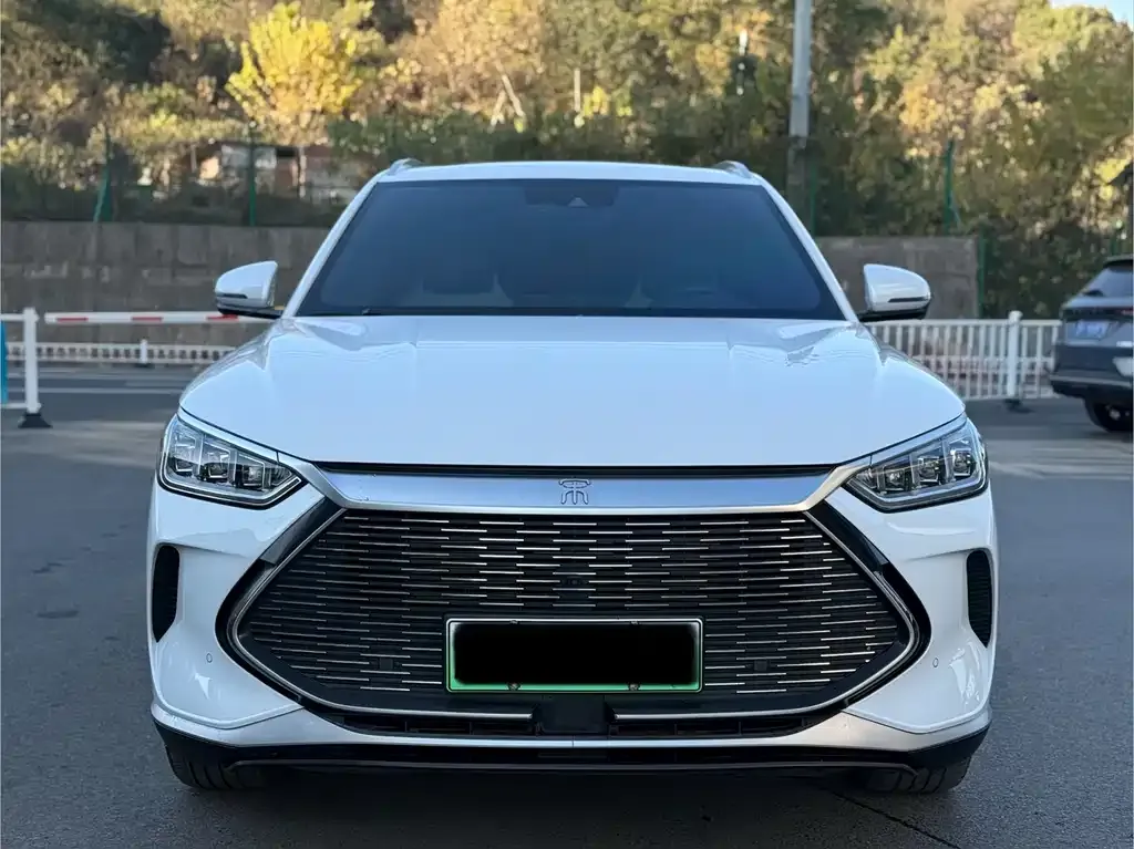BYD PLUS New Energy 2023 из CN, фото 2