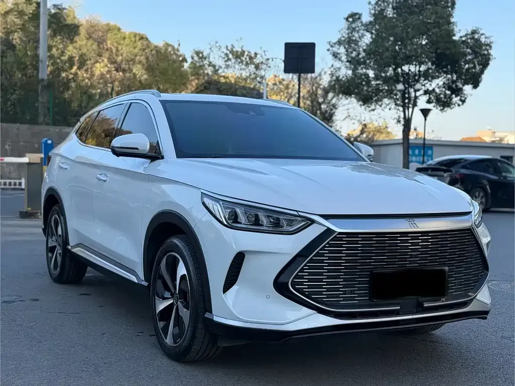 BYD PLUS New Energy 2023 из CN, фото 3