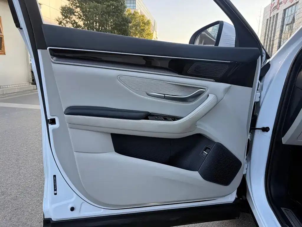 BYD PLUS New Energy 2023 из CN, фото 4
