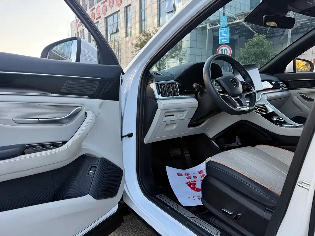 BYD PLUS New Energy 2023 из CN, фото 5