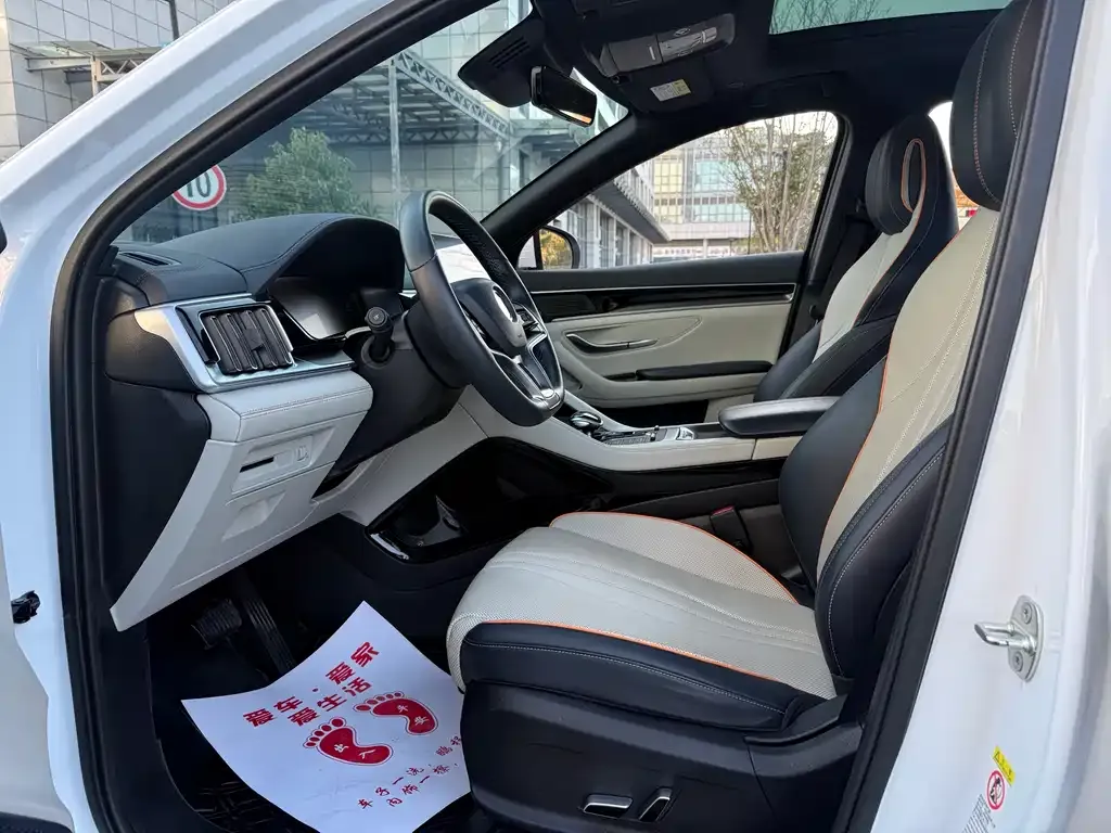 BYD PLUS New Energy 2023 из CN, фото 6