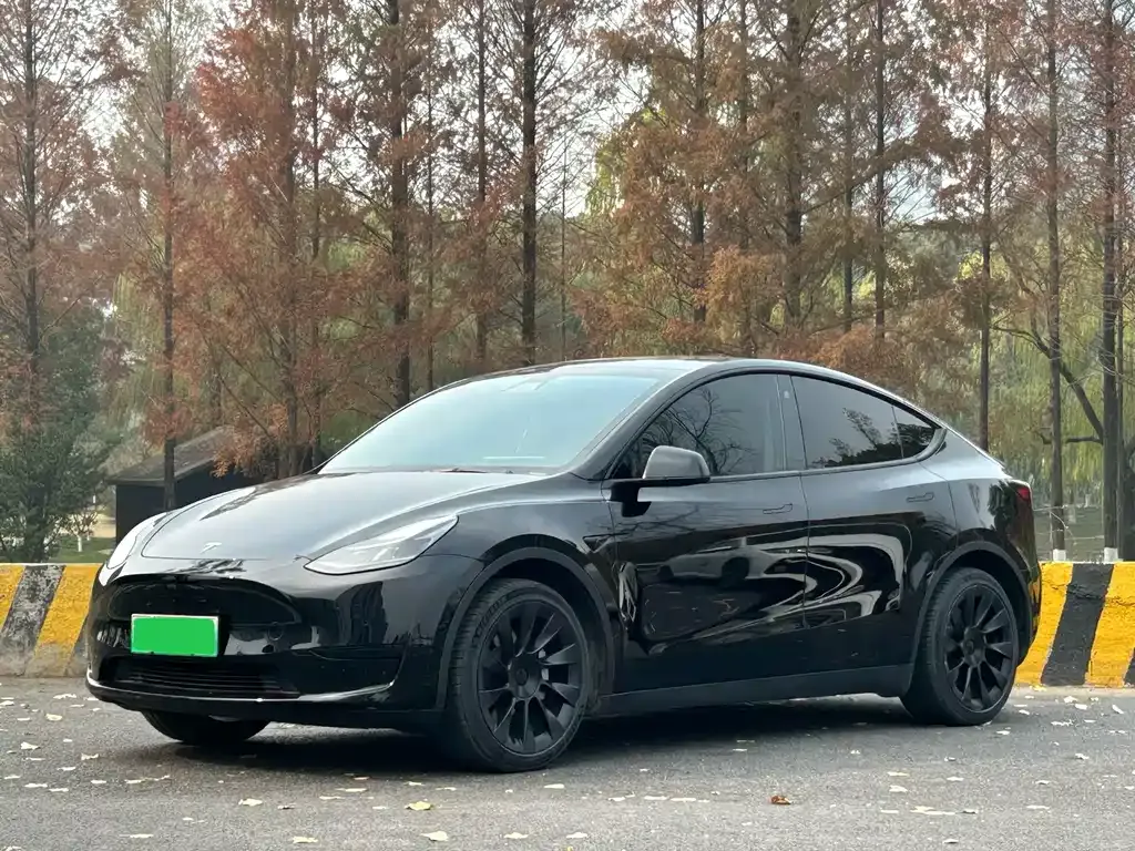 Tesla Model Y — фото 1