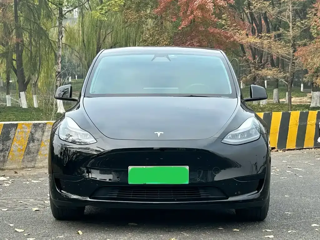 Tesla Model Y — фото 2