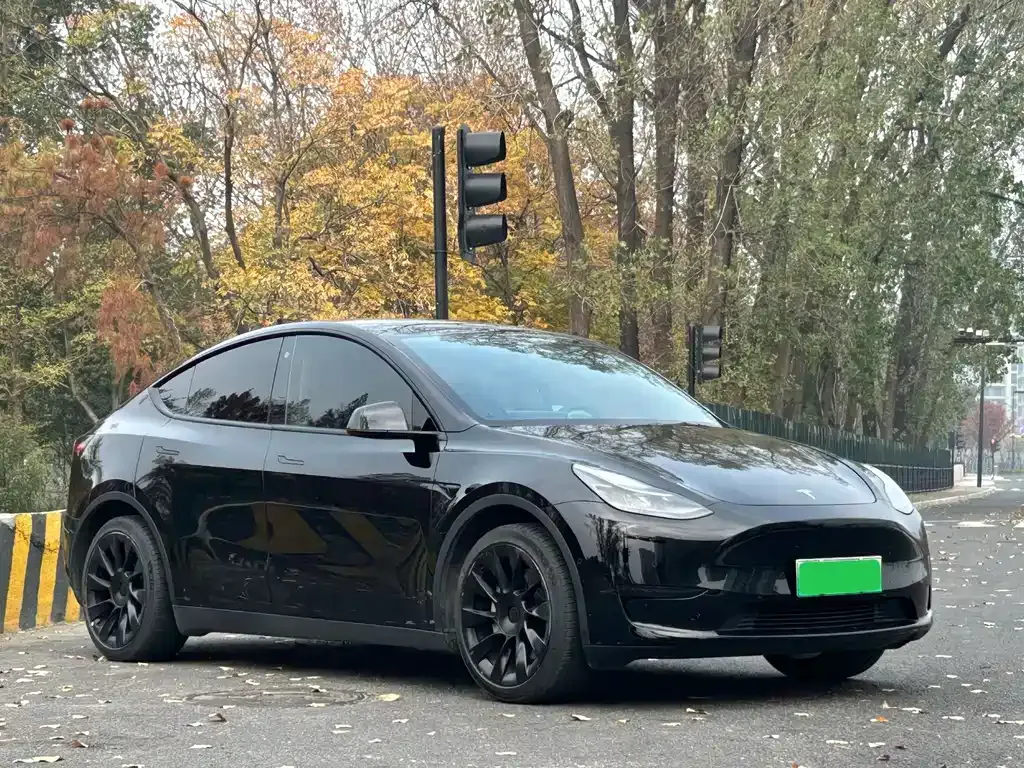 Tesla Model Y — фото 3