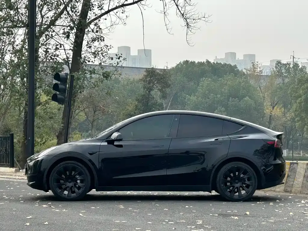 Tesla Model Y — фото 4