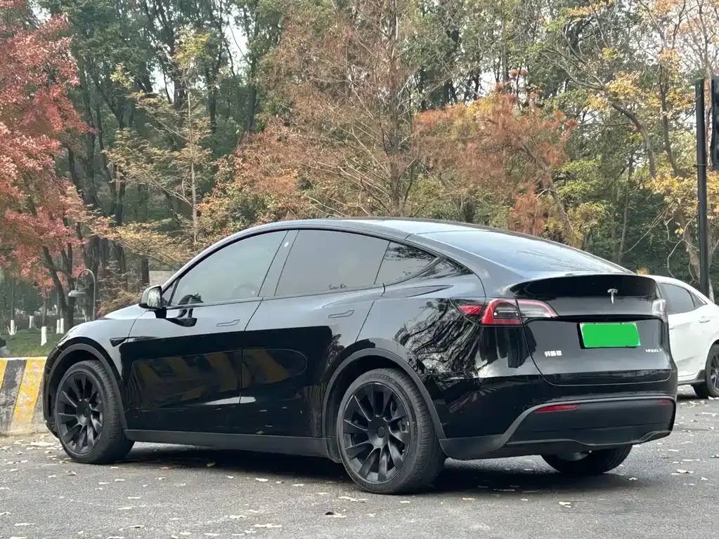 Tesla Model Y — фото 5