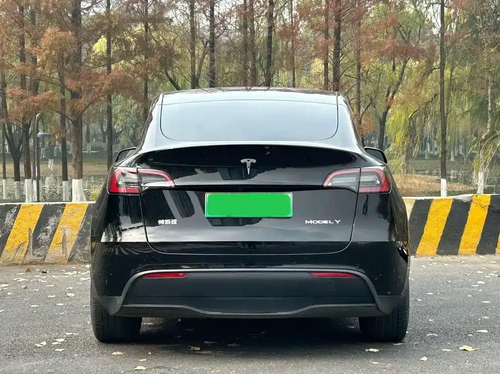Tesla Model Y — фото 6