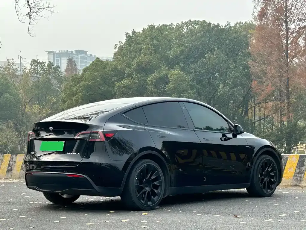 Tesla Model Y — фото 7