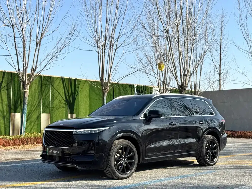 Li Auto ONE