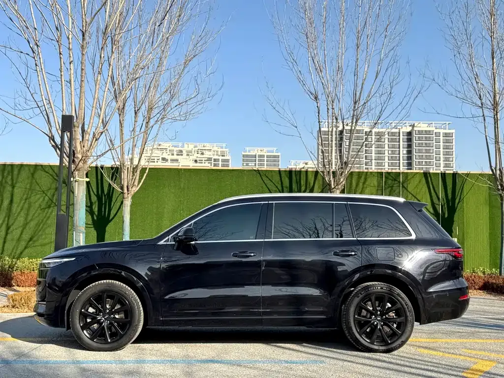 Li Auto ONE 2023 из CN, фото 9
