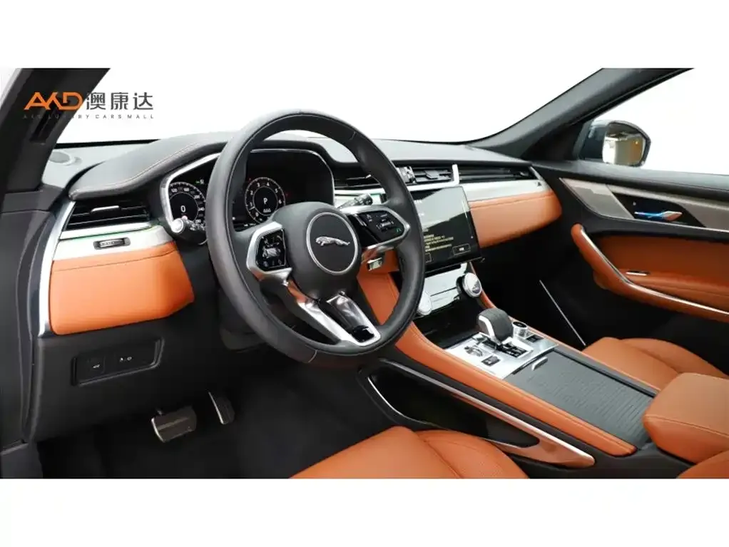 Jaguar F-PACE 2024 из CN, фото 6