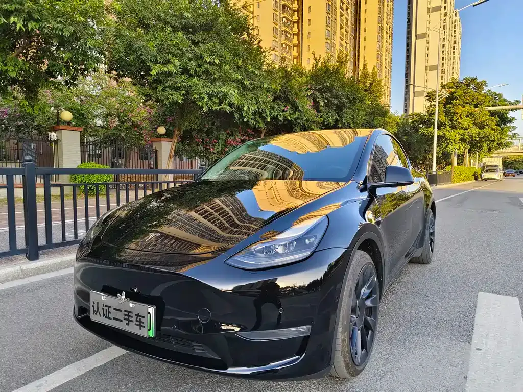 Tesla Model Y — фото 1