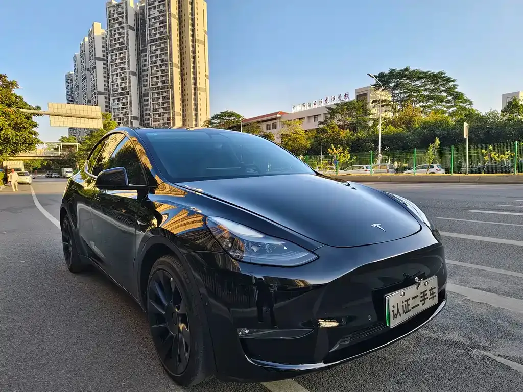 Tesla Model Y — фото 3