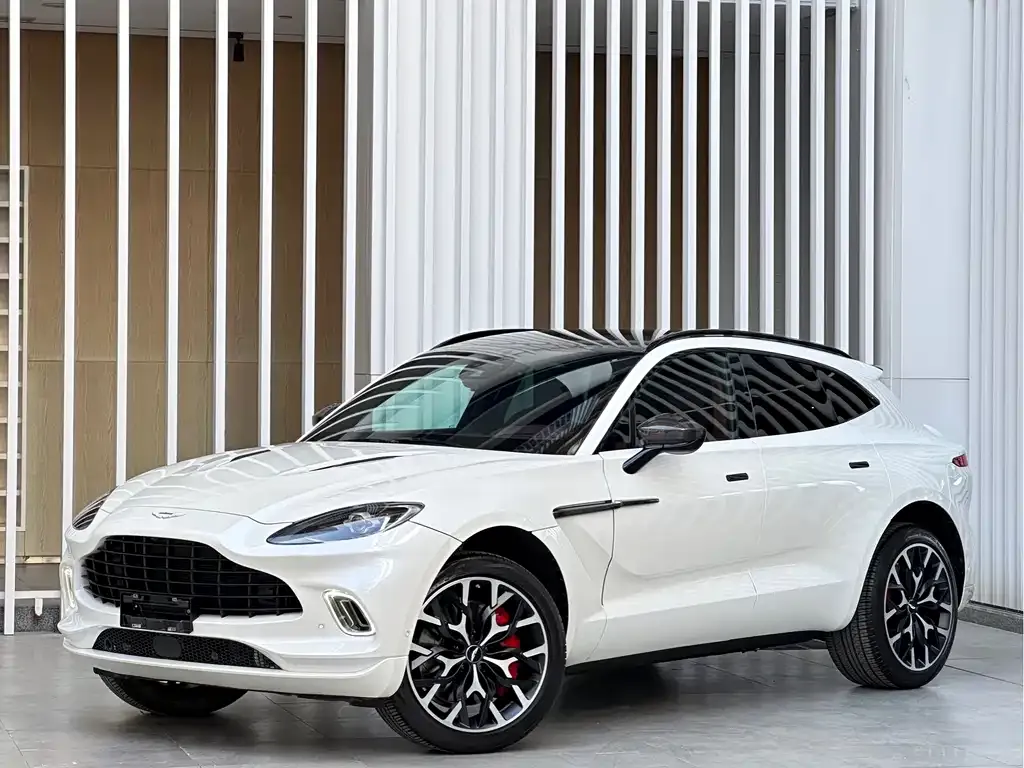 Aston Martin DBX 2021 из CN, фото 1