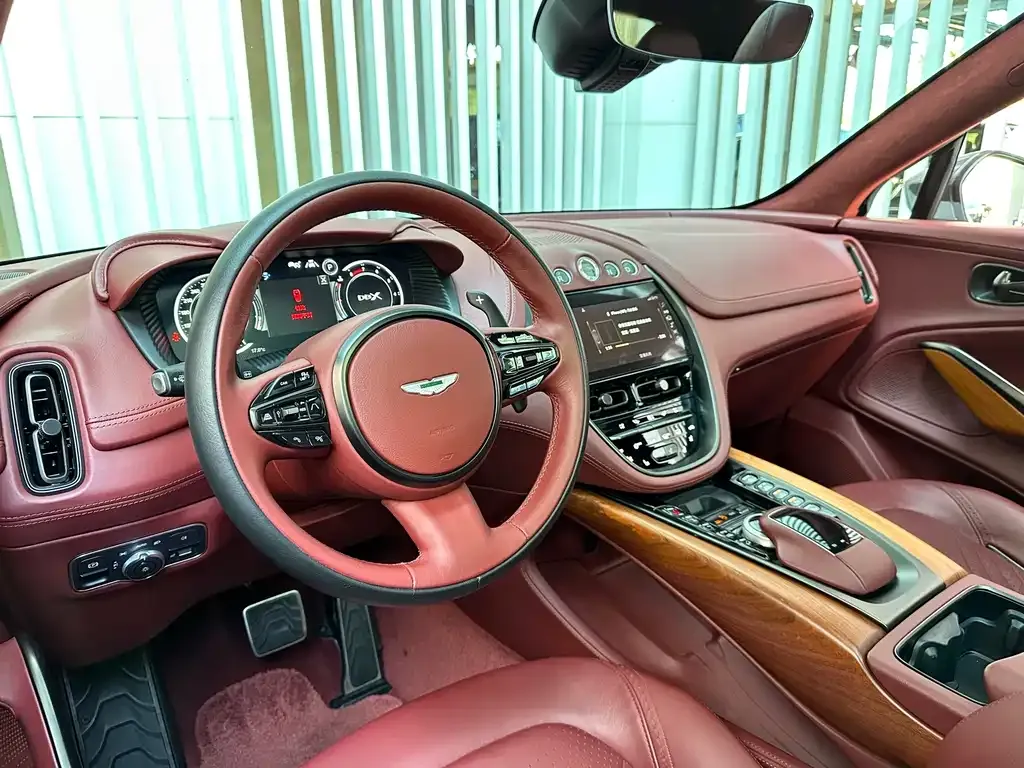 Aston Martin DBX 2021 из CN, фото 5