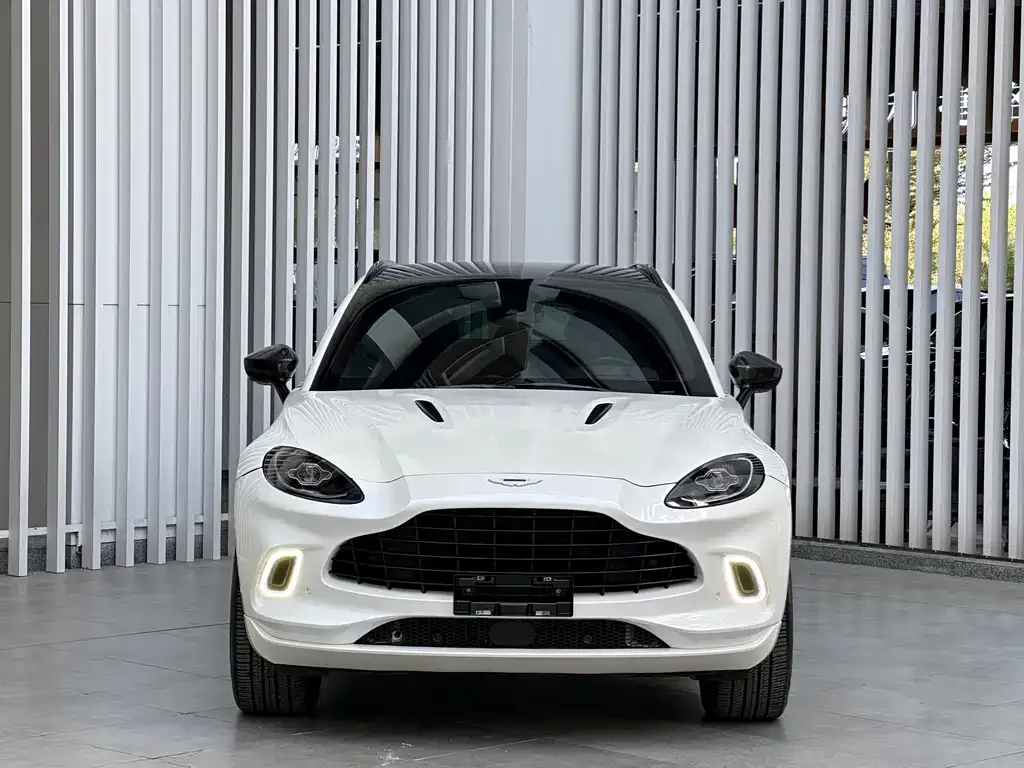 Aston Martin DBX 2021 из CN, фото 7