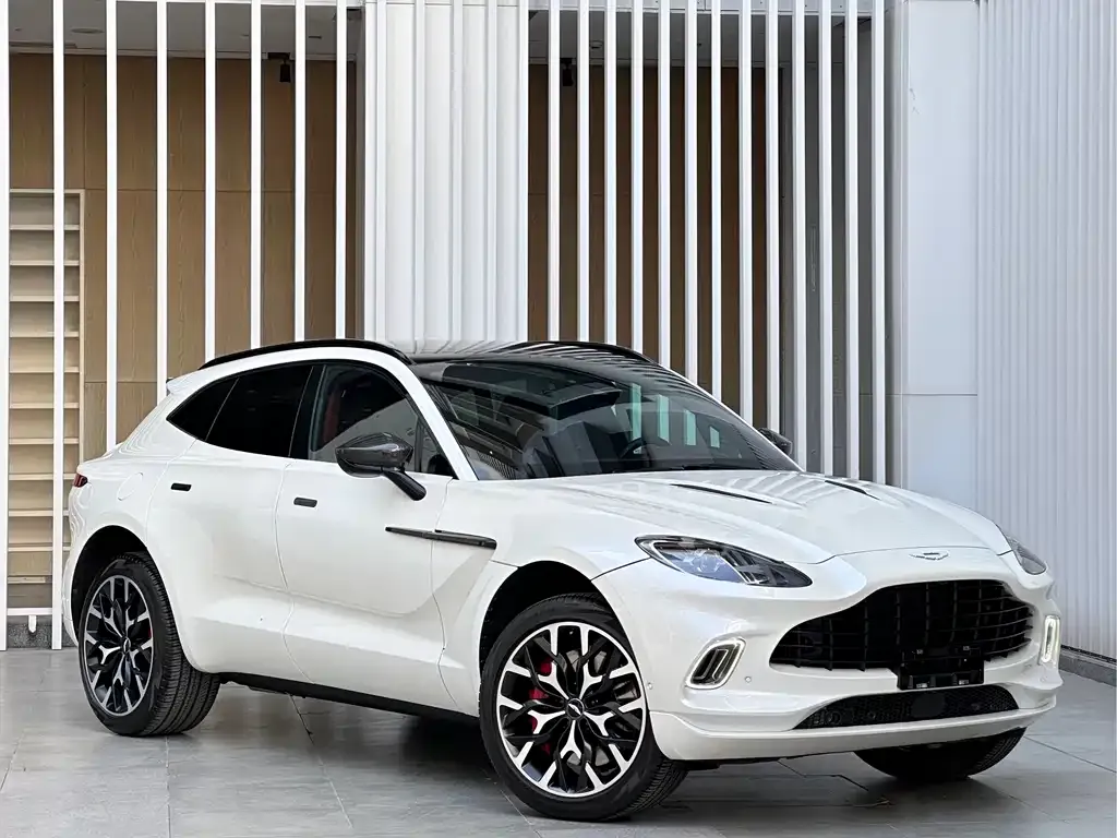 Aston Martin DBX 2021 из CN, фото 3