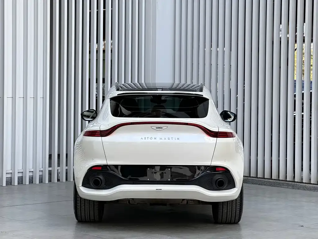 Aston Martin DBX 2021 из CN, фото 6