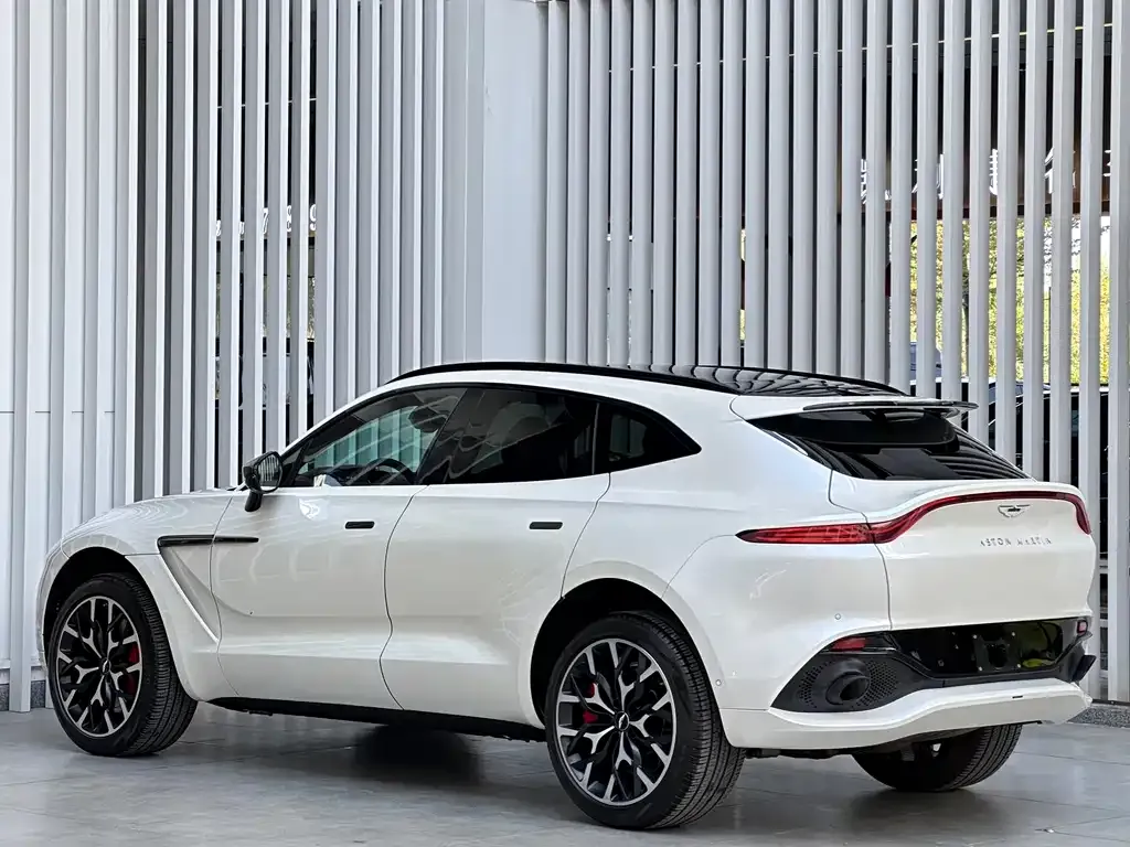 Aston Martin DBX 2021 из CN, фото 4