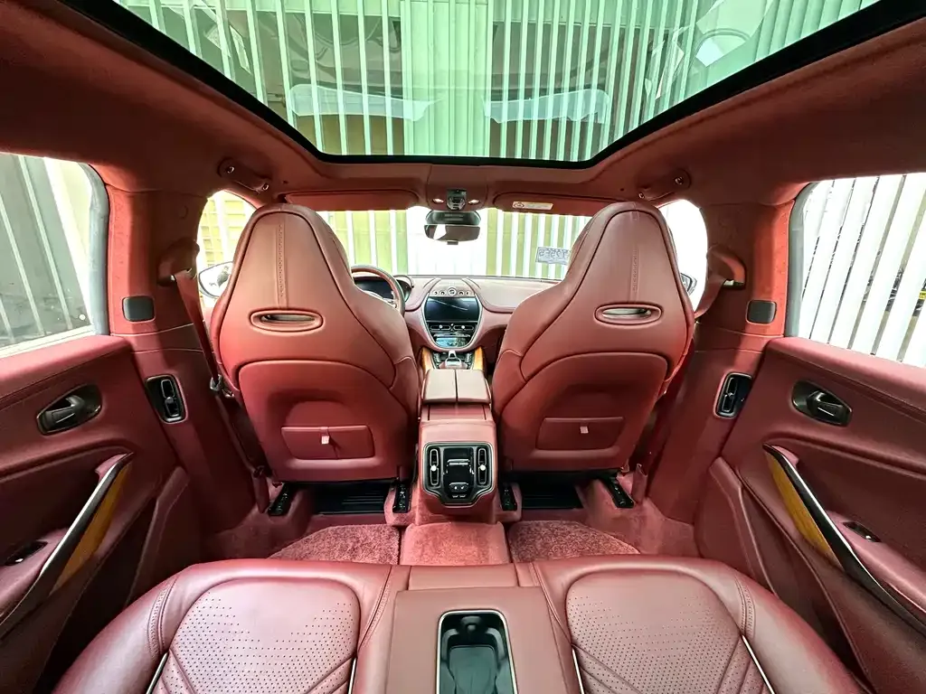 Aston Martin DBX 2021 из CN, фото 10
