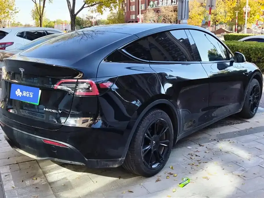 Tesla Model Y — фото 10