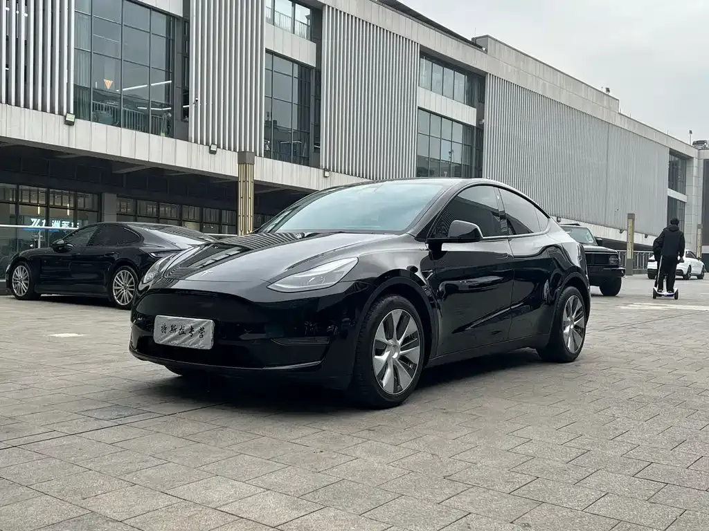 Tesla Model Y — фото 1
