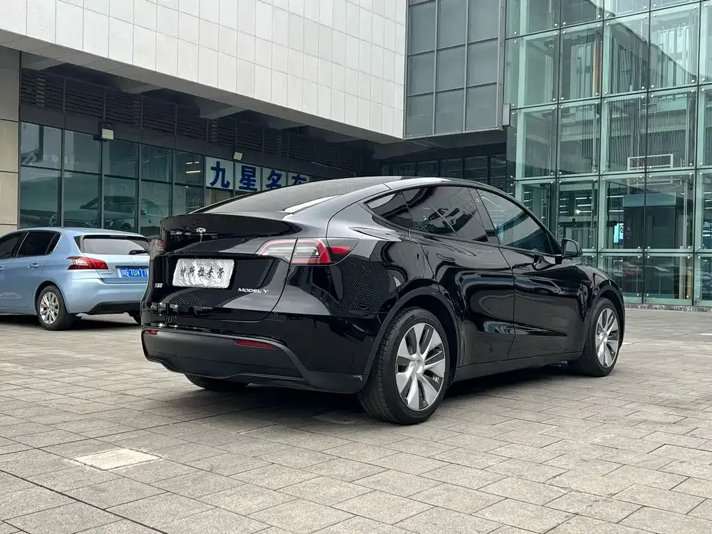 Tesla Model Y — фото 6