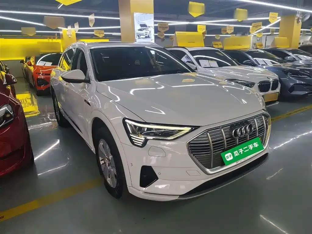 Audi e-tron (Import) 2021 из CN, фото 4
