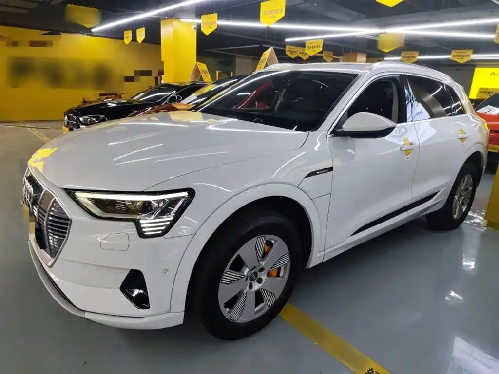 Audi e-tron (Import) 2021 из CN, фото 5