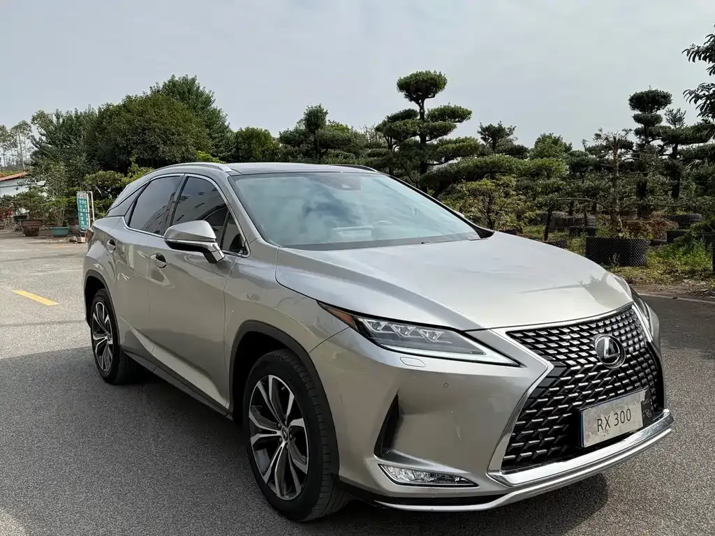 Lexus RX — фото 1