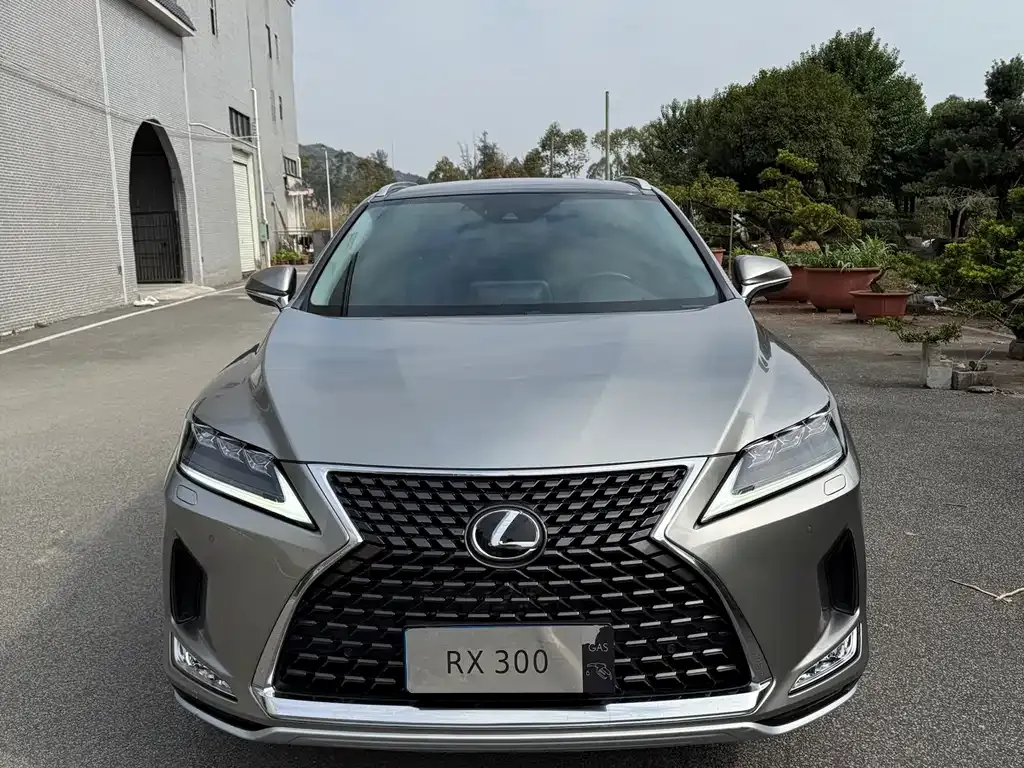 Lexus RX — фото 4