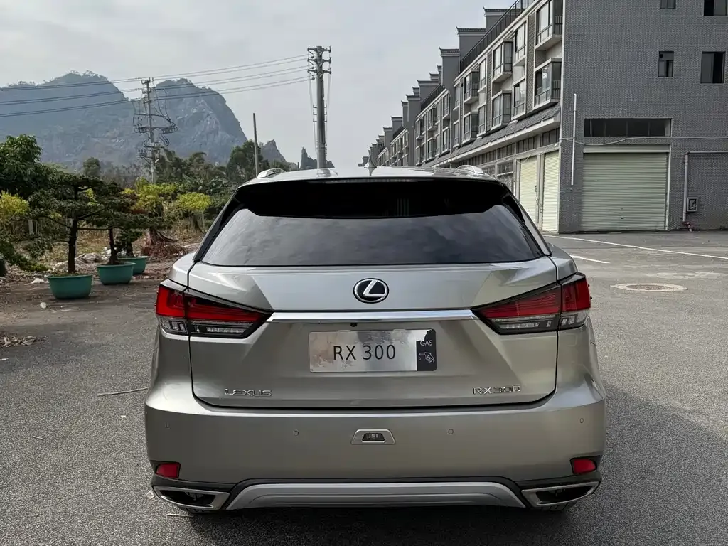 Lexus RX — фото 9