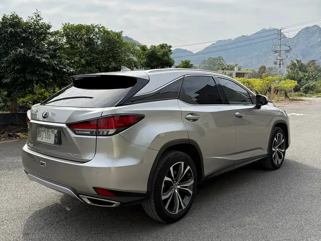 Lexus RX — фото 8