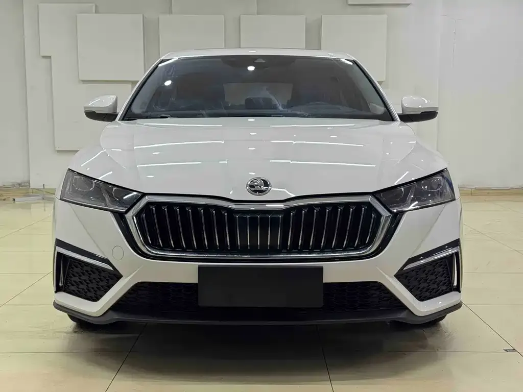 Skoda Octavia 2021 из CN, фото 2