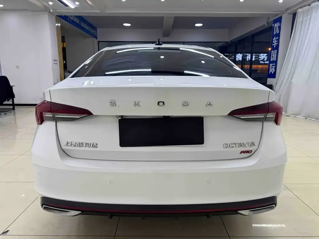 Skoda Octavia 2021 из CN, фото 3