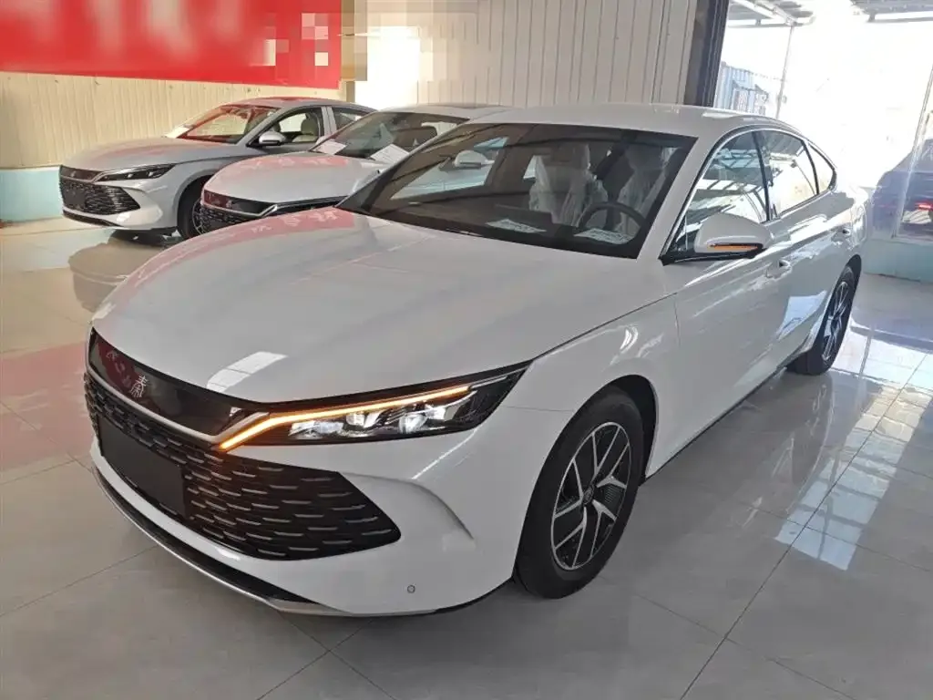 BYD Qin L — фото 2