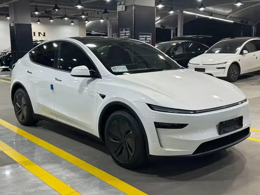 Tesla Model Y — фото 3
