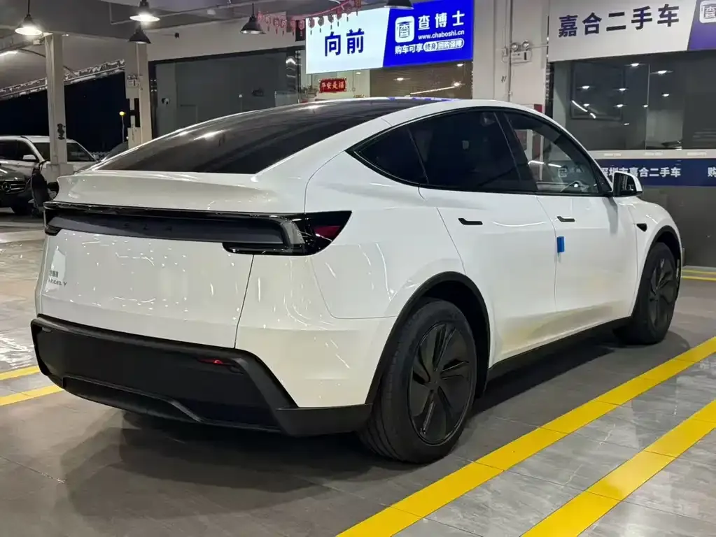 Tesla Model Y — фото 8