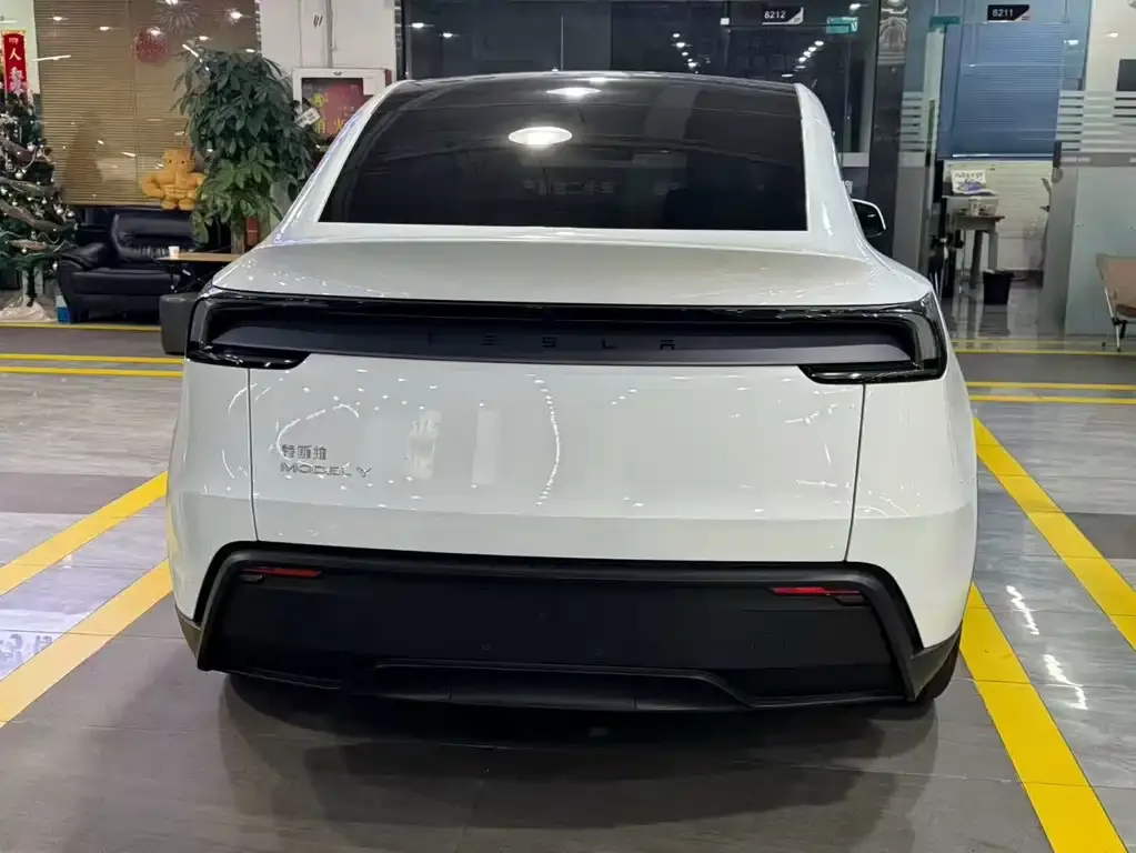 Tesla Model Y — фото 9