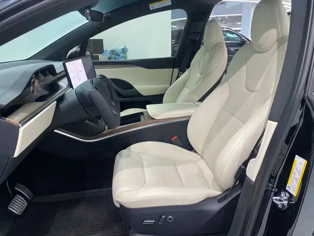 Tesla Model X — фото 10