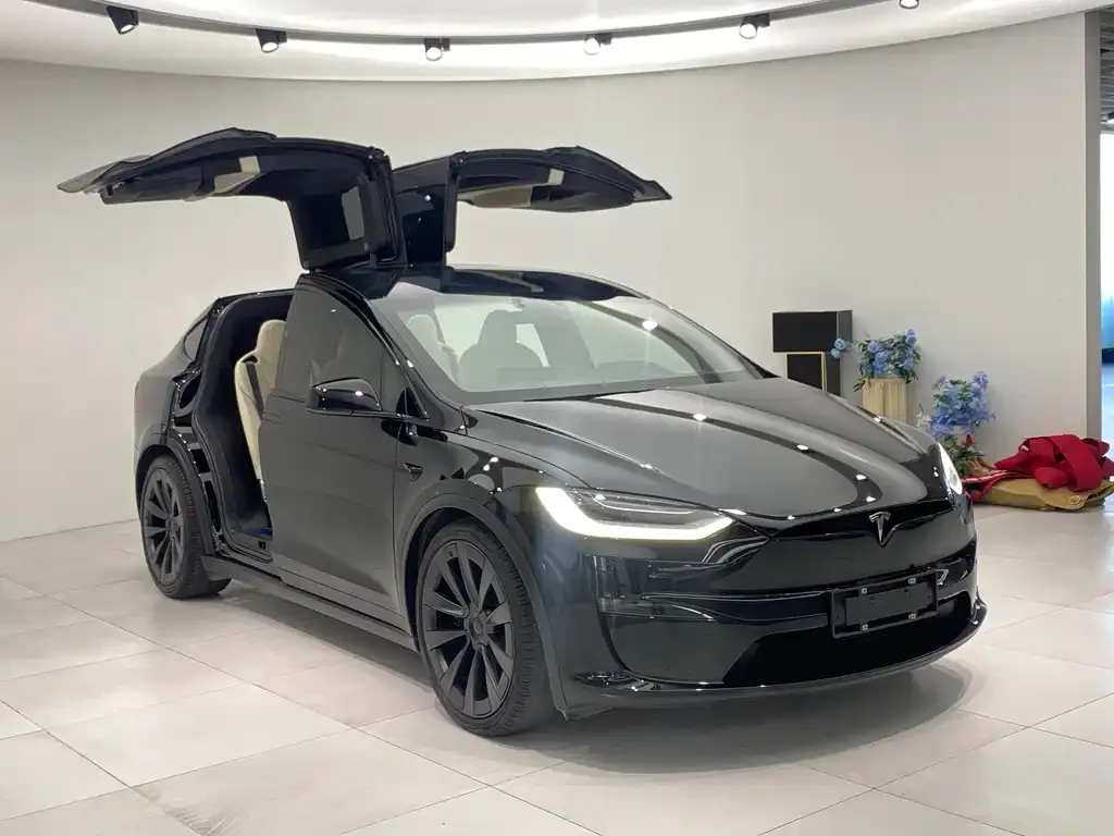 Tesla Model X — фото 8