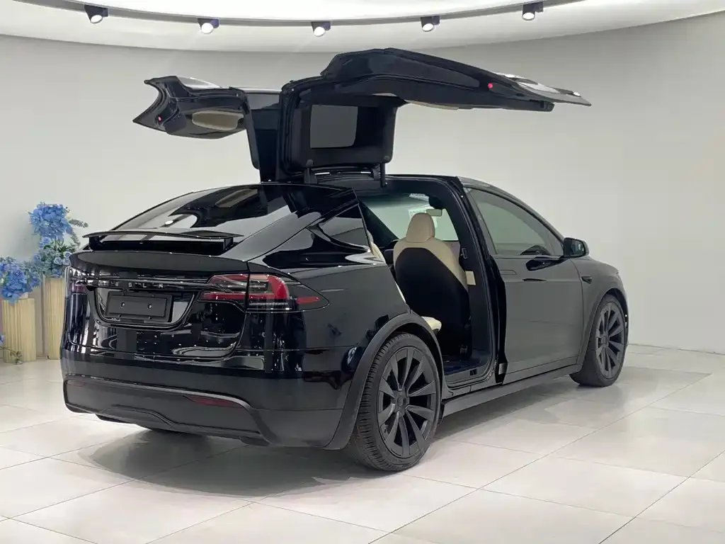 Tesla Model X — фото 6