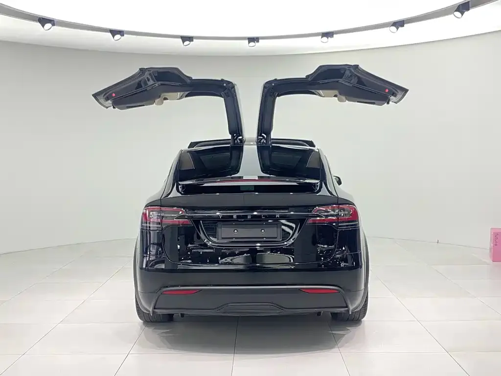 Tesla Model X — фото 7
