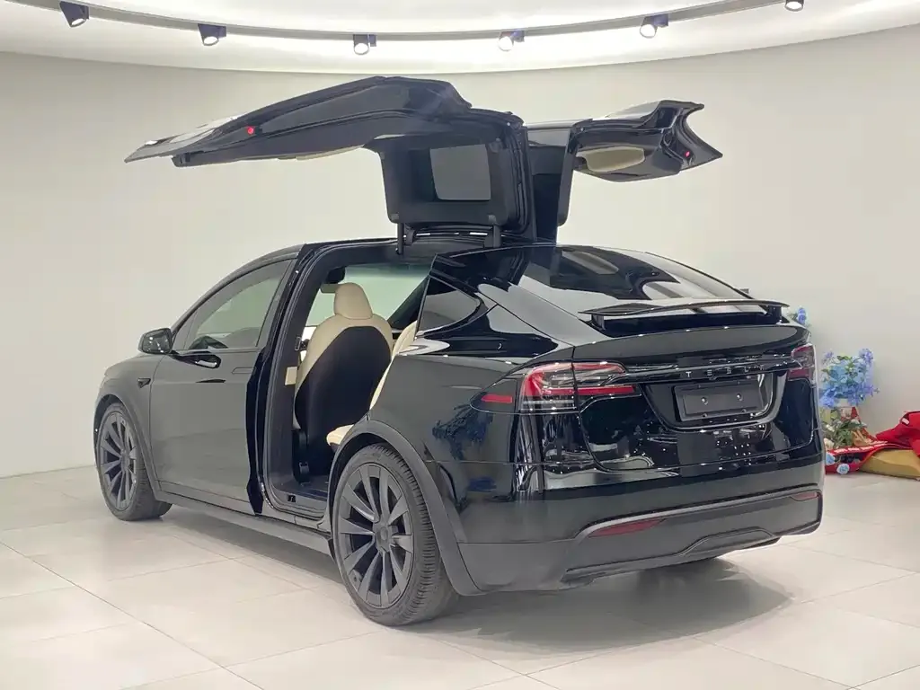 Tesla Model X — фото 9