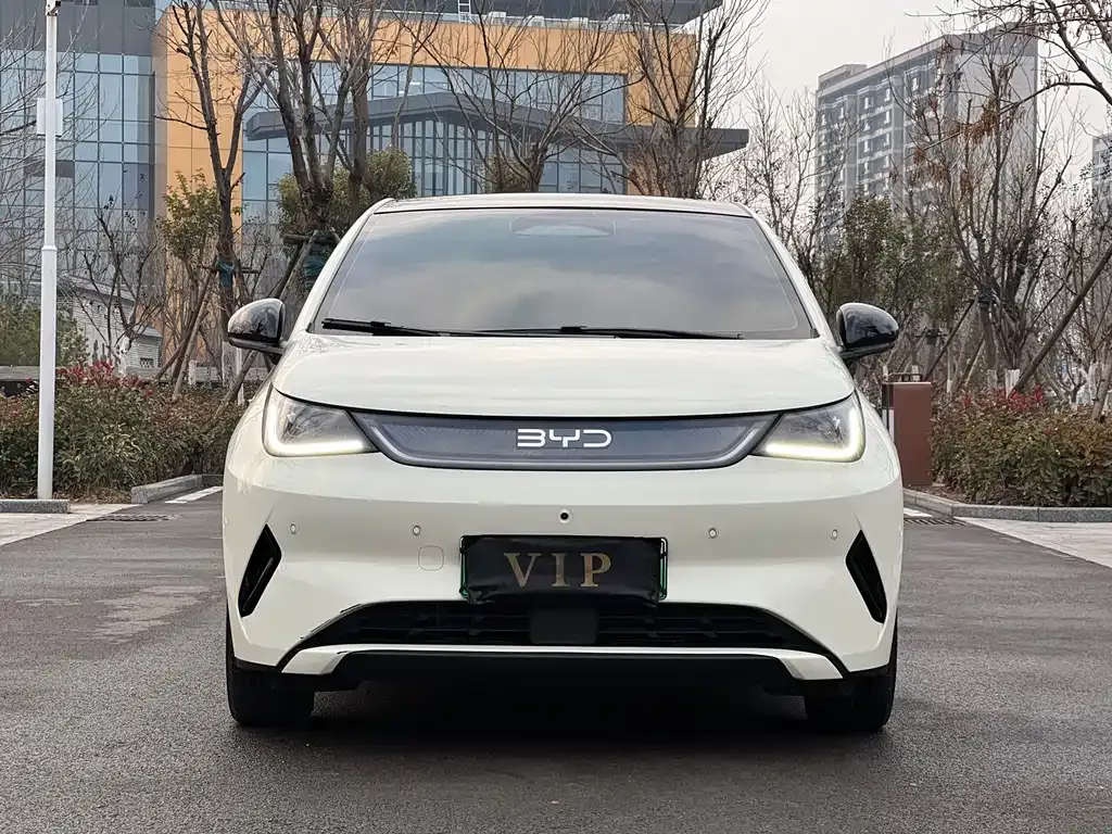 BYD Dolphin 2025 из CN, фото 6