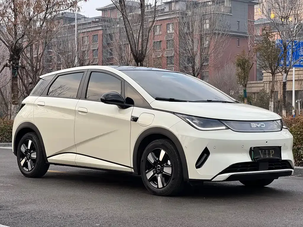 BYD Dolphin 2025 из CN, фото 2